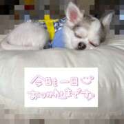 らん 昨日はありがとうございました😊 ゴールドクイーン