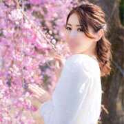 ヒメ日記 2025/04/05 19:22 投稿 Misaki Arimura ELEGANT－エレガント－