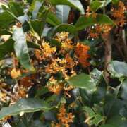 ヒメ日記 2025/10/03 23:13 投稿 Misaki Arimura ELEGANT－エレガント－