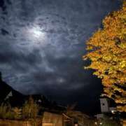 ヒメ日記 2025/10/06 23:58 投稿 Misaki Arimura ELEGANT－エレガント－