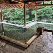 ヒメ日記 2025/10/14 22:15 投稿 Misaki Arimura ELEGANT－エレガント－