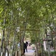 ヒメ日記 2025/11/12 19:02 投稿 Misaki Arimura ELEGANT－エレガント－