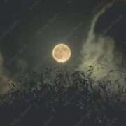 Misaki Arimura 今年最後の… ELEGANT－エレガント－