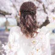 ヒメ日記 2026/03/11 23:34 投稿 Misaki Arimura ELEGANT－エレガント－