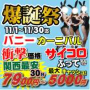 ヒメ日記 2025/11/06 08:54 投稿 かすみ ダック京都