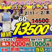 ヒメ日記 2026/02/28 08:39 投稿 かすみ ダック京都