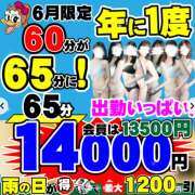 ヒメ日記 2026/06/04 08:26 投稿 かすみ ダック京都