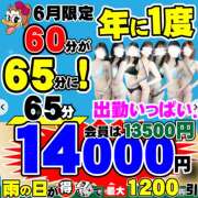 ヒメ日記 2026/06/23 08:34 投稿 かすみ ダック京都