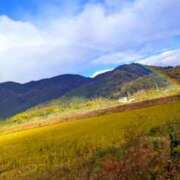 ヒメ日記 2024/12/12 21:00 投稿 しほ ダック京都