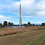 ヒメ日記 2024/12/15 20:50 投稿 しほ ダック京都