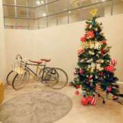 ヒメ日記 2024/12/27 21:10 投稿 しほ ダック京都