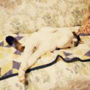 ヒメ日記 2025/01/12 21:12 投稿 しほ ダック京都