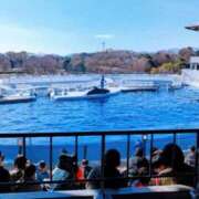 ヒメ日記 2025/01/19 21:00 投稿 しほ ダック京都