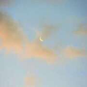 ヒメ日記 2025/01/25 21:45 投稿 しほ ダック京都