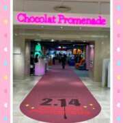 ヒメ日記 2025/01/31 20:24 投稿 しほ ダック京都