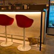 ヒメ日記 2025/02/17 20:30 投稿 しほ ダック京都