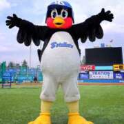 ヒメ日記 2025/02/20 21:03 投稿 しほ ダック京都