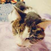 ヒメ日記 2025/02/22 21:01 投稿 しほ ダック京都