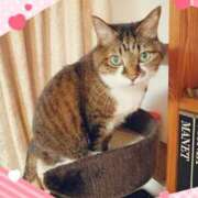 ヒメ日記 2025/02/23 20:50 投稿 しほ ダック京都