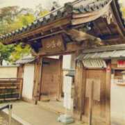 ヒメ日記 2025/03/05 20:33 投稿 しほ ダック京都