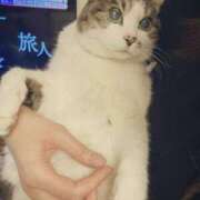 ヒメ日記 2025/03/09 21:09 投稿 しほ ダック京都