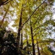 ヒメ日記 2025/03/13 21:03 投稿 しほ ダック京都