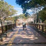 ヒメ日記 2025/04/03 21:43 投稿 しほ ダック京都