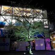 ヒメ日記 2025/04/11 23:30 投稿 しほ ダック京都