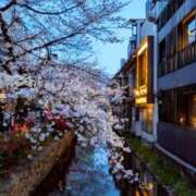 ヒメ日記 2025/04/12 21:21 投稿 しほ ダック京都