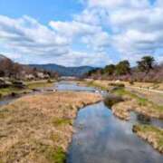 ヒメ日記 2025/04/17 20:27 投稿 しほ ダック京都