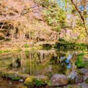 ヒメ日記 2025/04/19 20:30 投稿 しほ ダック京都