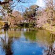 ヒメ日記 2025/04/25 20:00 投稿 しほ ダック京都