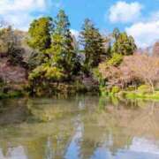 ヒメ日記 2025/04/30 21:40 投稿 しほ ダック京都