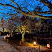 ヒメ日記 2025/05/01 20:41 投稿 しほ ダック京都