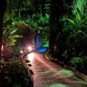 ヒメ日記 2025/05/05 20:20 投稿 しほ ダック京都