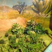 ヒメ日記 2025/05/08 20:40 投稿 しほ ダック京都