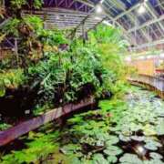 ヒメ日記 2025/05/09 21:36 投稿 しほ ダック京都