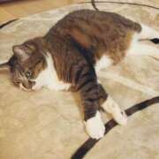 ヒメ日記 2025/05/19 20:09 投稿 しほ ダック京都