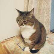 ヒメ日記 2025/05/22 20:12 投稿 しほ ダック京都