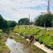 ヒメ日記 2025/06/18 21:12 投稿 しほ ダック京都