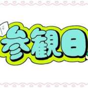 ヒメ日記 2025/07/12 21:35 投稿 しほ ダック京都