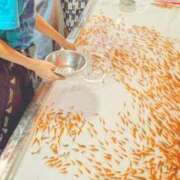 ヒメ日記 2025/07/17 20:47 投稿 しほ ダック京都