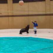 ヒメ日記 2025/08/10 20:34 投稿 しほ ダック京都