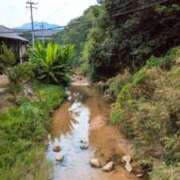 ヒメ日記 2025/09/03 20:20 投稿 しほ ダック京都