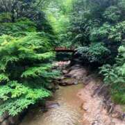 ヒメ日記 2025/09/06 20:36 投稿 しほ ダック京都