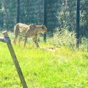 ヒメ日記 2025/10/01 20:11 投稿 しほ ダック京都