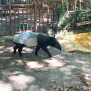 ヒメ日記 2025/10/05 20:20 投稿 しほ ダック京都