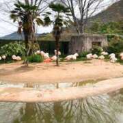 ヒメ日記 2025/10/15 20:50 投稿 しほ ダック京都