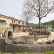 ヒメ日記 2025/10/19 20:33 投稿 しほ ダック京都