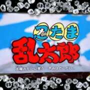 ヒメ日記 2025/10/23 20:40 投稿 しほ ダック京都